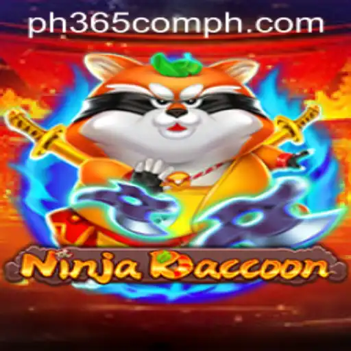 NinjaRaccoon Game Introduction and Rules